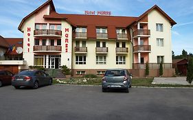 Hotel Mures Toplita